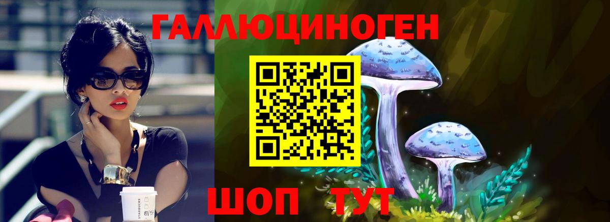 Галлюциногенные грибы GOLDEN TEACHER Можайск